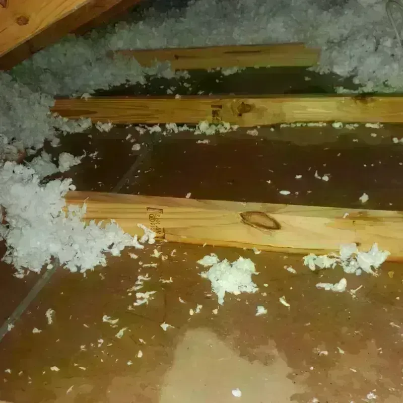 Attic Water Damage in Sedalia, MO